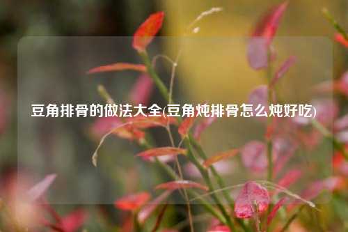 豆角排骨的做法大全(豆角炖排骨怎么炖好吃)