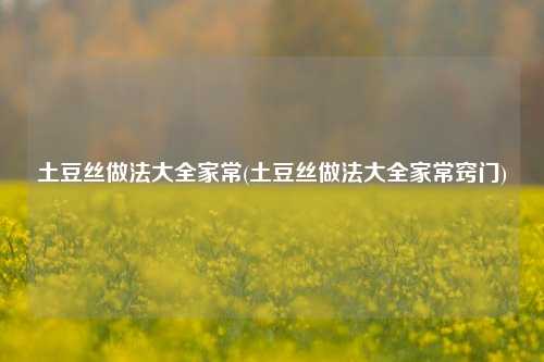 土豆丝做法大全家常(土豆丝做法大全家常窍门)