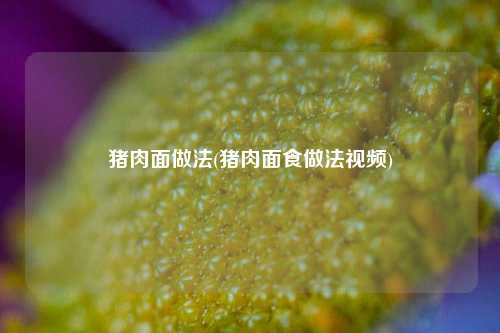 猪肉面做法(猪肉面食做法视频)