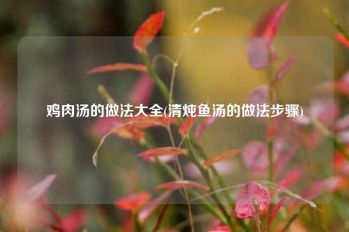 鸡肉汤的做法大全(清炖鱼汤的做法步骤)