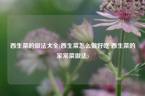 西生菜的做法大全(西生菜怎么做好吃 西生菜的家常菜做法)