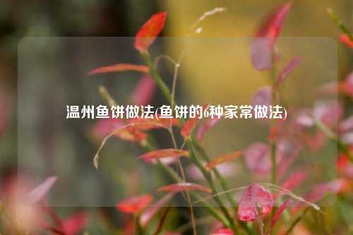 温州鱼饼做法(鱼饼的6种家常做法)