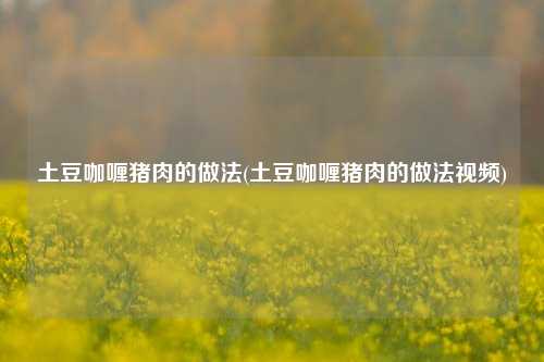 土豆咖喱猪肉的做法(土豆咖喱猪肉的做法视频)