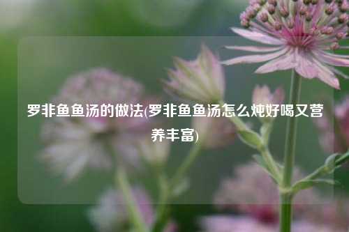 罗非鱼鱼汤的做法(罗非鱼鱼汤怎么炖好喝又营养丰富)