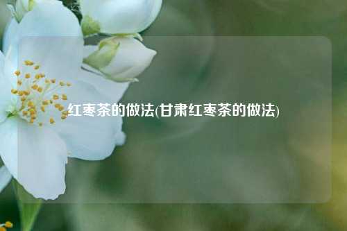 红枣茶的做法(甘肃红枣茶的做法)