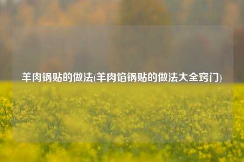 羊肉锅贴的做法(羊肉馅锅贴的做法大全窍门)