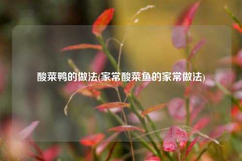 酸菜鸭的做法(家常酸菜鱼的家常做法)