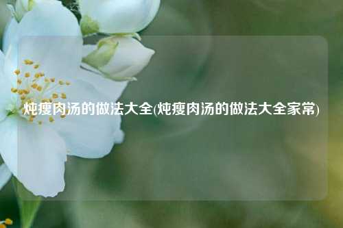 炖瘦肉汤的做法大全(炖瘦肉汤的做法大全家常)