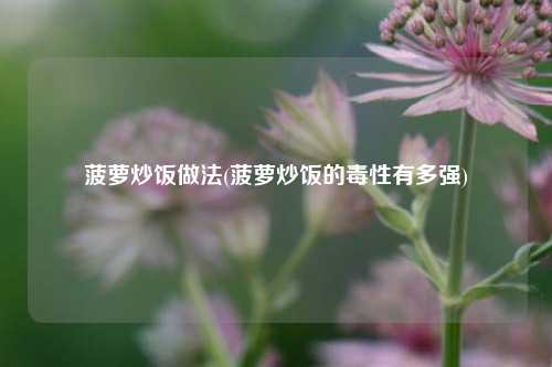 菠萝炒饭做法(菠萝炒饭的毒性有多强)
