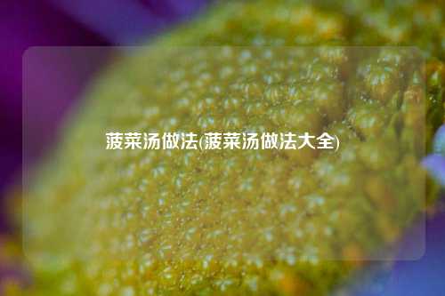 菠菜汤做法(菠菜汤做法大全)